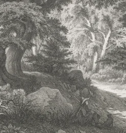 Discount Estampe Forêt de Fontainebleau : le Charlemagne et le Roland - Eugène Bléry Nature, Fleurs Et Paysages|Chefs D'Œuvre Des Musées