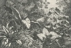 Estampe Groupe de plantes exotiques