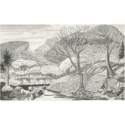 Estampe Paysage Rocky Arroyo au Nouveau Mexique de Roderick Mead