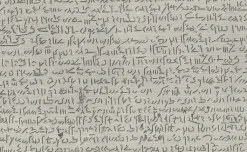 Discount Estampe Pierre de rosette Partie centrale - Égyptien démotique Description De L'Égypte