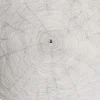 Estampe Propagazione - Giuseppe Penone 2009