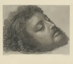 Estampe Saint Jean-Baptiste - Andrea Solario