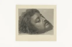Estampe Saint Jean-Baptiste - Andrea Solario