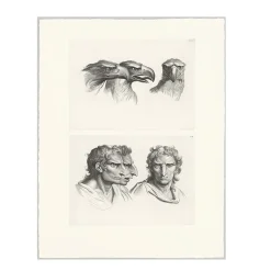 Best Estampe Trois têtes d'aigle et trois têtes d'hommes en relation avec l'aigle Dessins