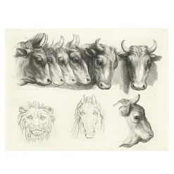 Estampe Têtes de bœufs, de lion et de cheval