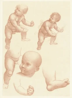 Estampe Étude d'enfant - Léonard de Vinci