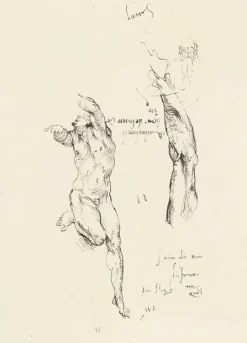 Estampe Étude d'homme nu et étude de bras - Michel-Ange