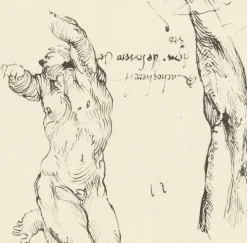 Estampe Étude d'homme nu et étude de bras - Michel-Ange
