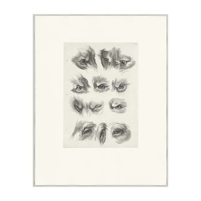 Estampe Yeux de loup, de renard et de pourceau