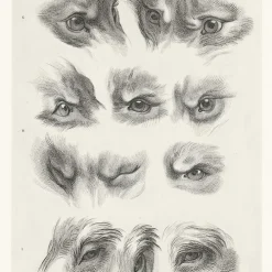 Estampe Yeux de loup, de renard et de pourceau