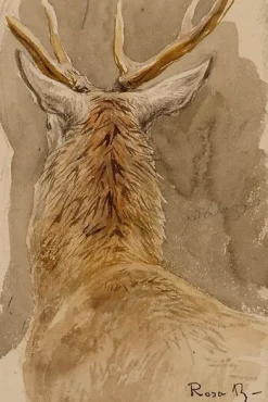 Etude de cerf (panneaux aluminium)