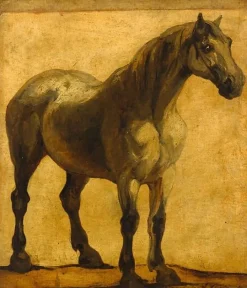 Sale Etude de cheval (toiles sur châssis) Toiles Sur Châssis|Affiches D'Art Encadrées