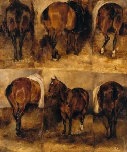 Etudes de chevaux (toiles encadrées)