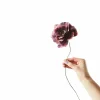 Fleur en papier Pivoine - Aubergine