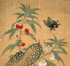Hot Fleurs et insectes (affiches d'art encadrées) Affiches D'Art Encadrées|Toiles Sans Cadre