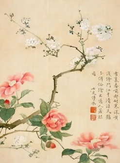 Hot Fleurs et insectes, dynastie Qing (affiches d'art encadrées) Affiches D'Art Encadrées|Toiles Sans Cadre