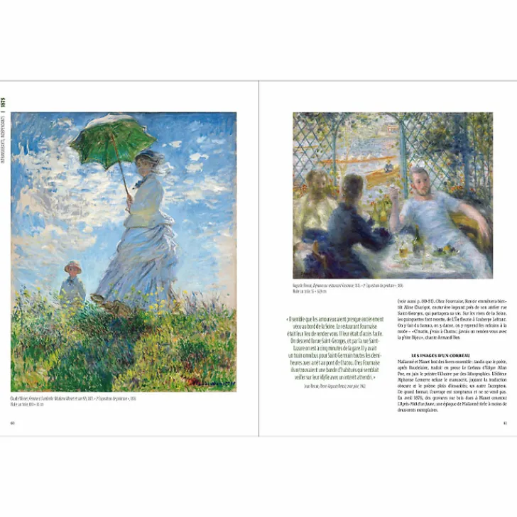 Sale Histoire vivante de l'impressionnisme Livres D'Art
