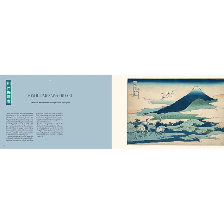 Hokusai - Les Trente-six vues du Mont Fuji de la collection du Metropolitan Museum of Art de New York Livres D'Art
