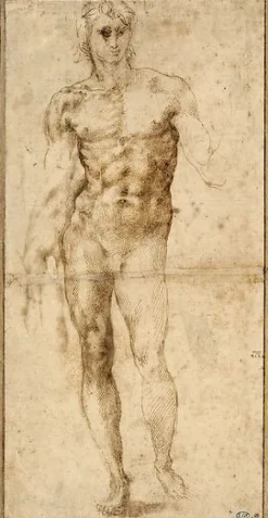 Homme nu, vu de face (toiles encadrées)