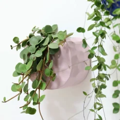 Jardinière en porcelaine Lilas Design|Art De La Maison