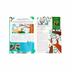 Kit collector 8-12 ans La forêt - Pandacraft