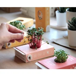 Discount Kit de culture Scrollino Sprouts - Radis Loisirs Créatifs