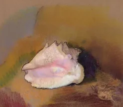 La Coquille (détail) (toiles encadrées)