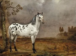 Le Cheval pie (affiches d'art) Affiches D'Art|Toiles Sans Cadre