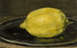 Le Citron (panneaux acryliques)
