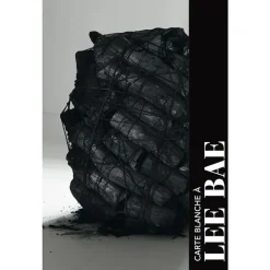 New Lee Bae Catalogues D'Exposition