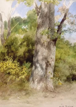 New Le Gros Chêne (affiches d'art encadrées) Affiches D'Art Encadrées|Affiches D'Art