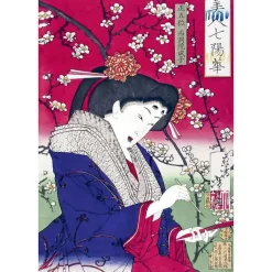 Online Les cerisiers en fleur par les grands maîtres de l'estampe japonaise (coffret) Livres D'Art
