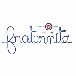 Outlet Les mots du Conseil constitutionnel - Fraternité Bleu Design