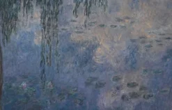 Les Nymphéas : Le Matin aux Saules (affiches d'art)