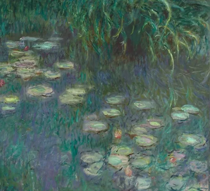 Les Nymphéas : Matin (affiches d'art encadrées)