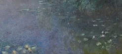 Les Nymphéas : Matin (toiles encadrées)