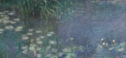Les Nymphéas : Matin (toiles encadrées)