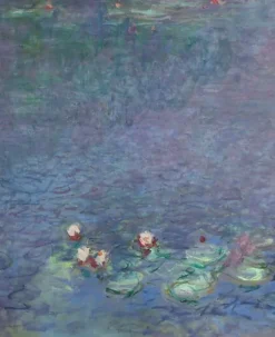 Les Nymphéas : Matin (toiles encadrées)