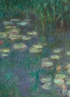 Les Nymphéas : Matin (toiles sur châssis)