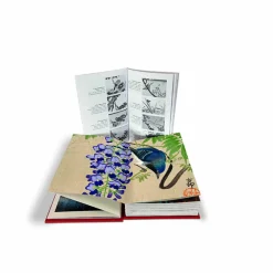 Online Les oiseaux par les grands maîtres de l'estampe japonaise Livres D'Art