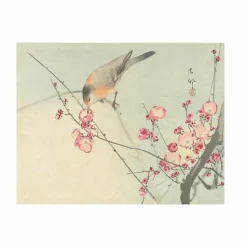 Online Les oiseaux par les grands maîtres de l'estampe japonaise Livres D'Art