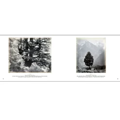L'Inde au miroir des photographes - Catalogue d'exposition
