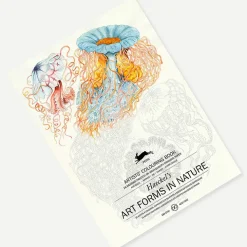 Hot Livret de coloriage pour enfants et adultes Art de la nature Haeckel - The Pepin Press Loisirs Créatifs
