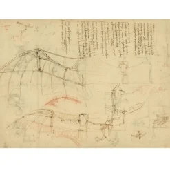 Léonard de Vinci, la nature et l'invention