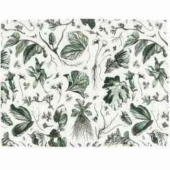 Lot de 2 sets de table L'Herbier du Roi Vert - 38x50 cm
