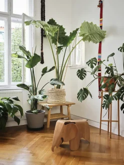 Éléphant Eames Petit modèle - Rose