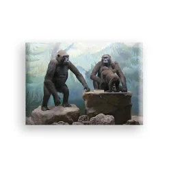 Magnet - Diorama gorilles