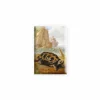 New Magnet Nicasius Bernaerts - Tortue Magnets
