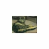 Magnet Théophile Alexandre Steinlen - Chat sur un fauteuil, entre 1859 et 1923