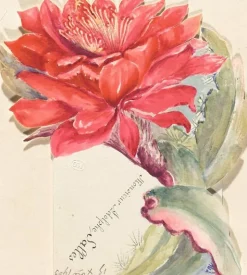 Menu d'Adolphe Salles (affiches d'art encadrées)